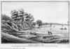 toronto-harbour-1820.jpg