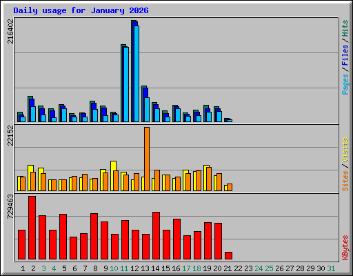 Daily usage for January 2026