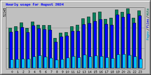 Hourly usage for August 2024