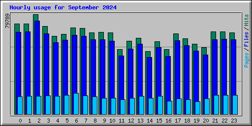 Hourly usage for September 2024