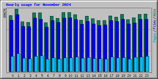 Hourly usage for November 2024