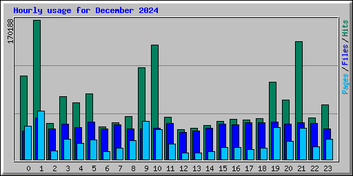 Hourly usage for December 2024