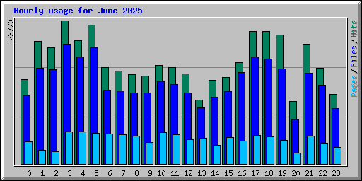 Hourly usage for June 2025