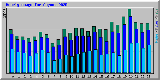 Hourly usage for August 2025