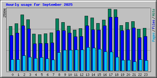 Hourly usage for September 2025