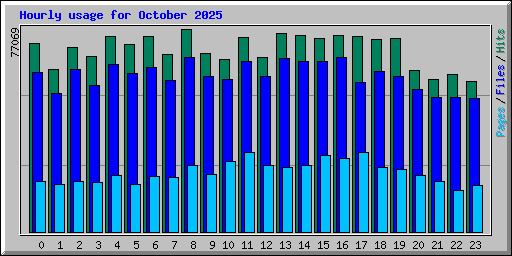 Hourly usage for October 2025