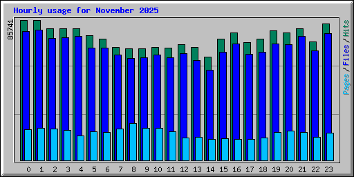Hourly usage for November 2025