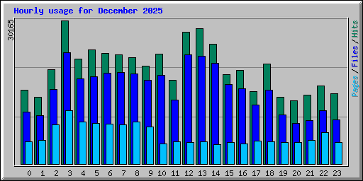 Hourly usage for December 2025