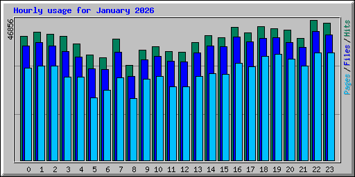 Hourly usage for January 2026