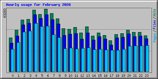 Hourly usage for February 2026