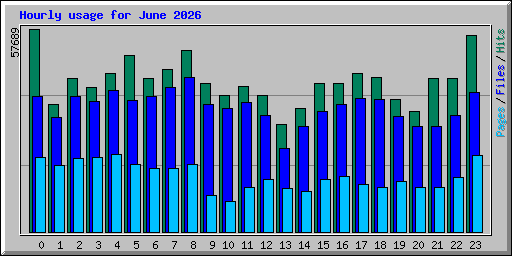Hourly usage for June 2026