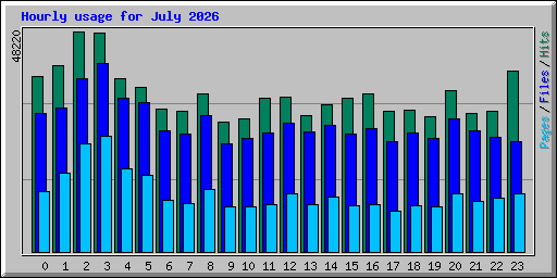 Hourly usage for July 2026